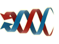 Sharedband Solutions Image